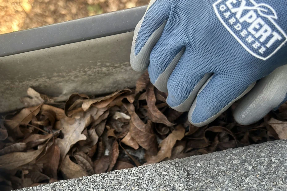 Gutter Cleaning Keller TX